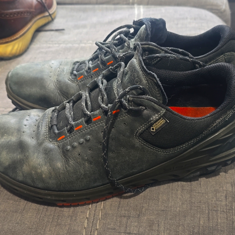 Ecco Goretex Biom